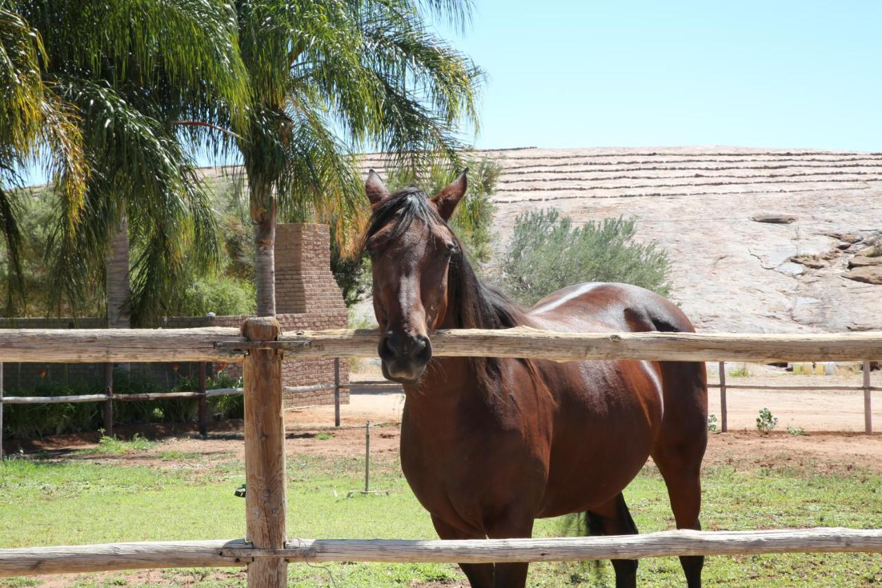Augrabies De Oude Stoor Guesthouse エクステリア 写真